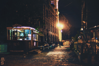 სოფელი, სადაც სახლში ძაღლების მაგივრად წეროები ჰყავთ Rating